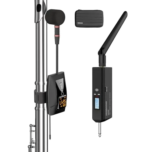 best microphones for flute