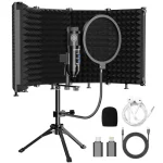 Top 10 Best Studio Microphone For Clarinet 2026